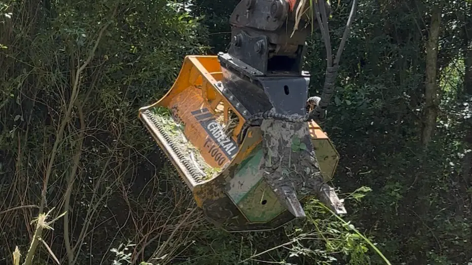 Antes: mato denso, com a trituradora da giratória a entrar