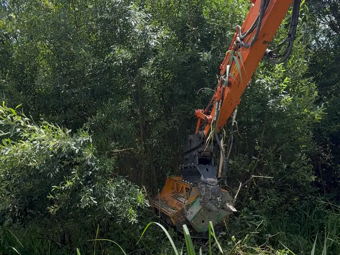 Escavadora giratória a cortar vegetação densa com a trituradora
